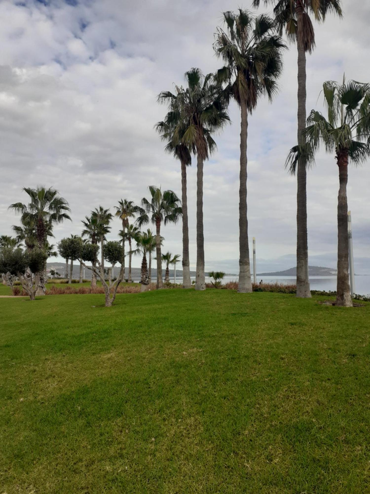 Apartamento Cerca Del Mar Nador Eksteriør billede